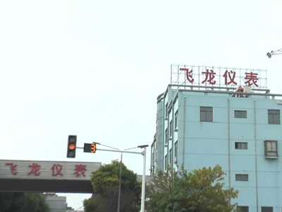 Shanghai Feilong Meters & Electronics Co., Ltd