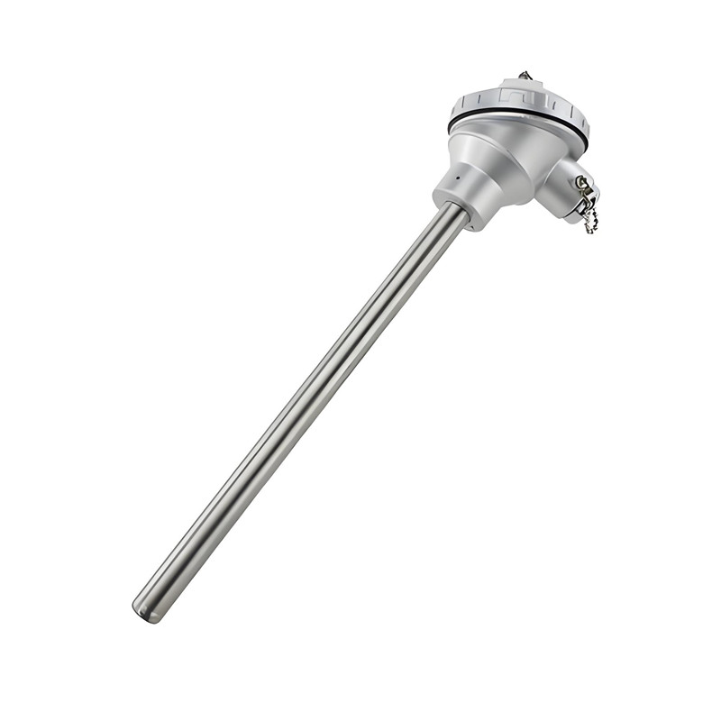 无固定装置式热电阻 Non-fixed device thermal resistance